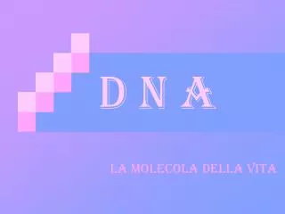 d n a