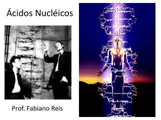 cidos nucl icos