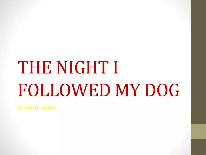 the night i followed my dog