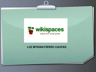 luz myrian fierro caupas