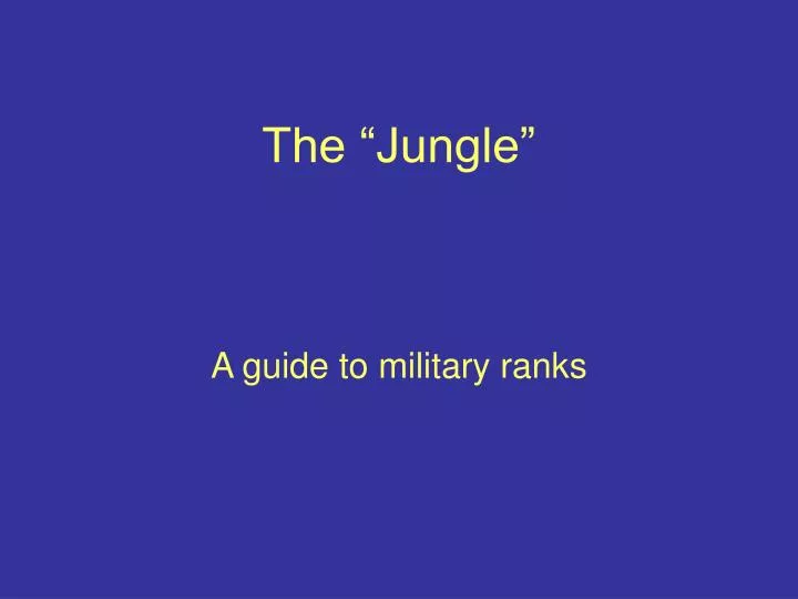 the jungle