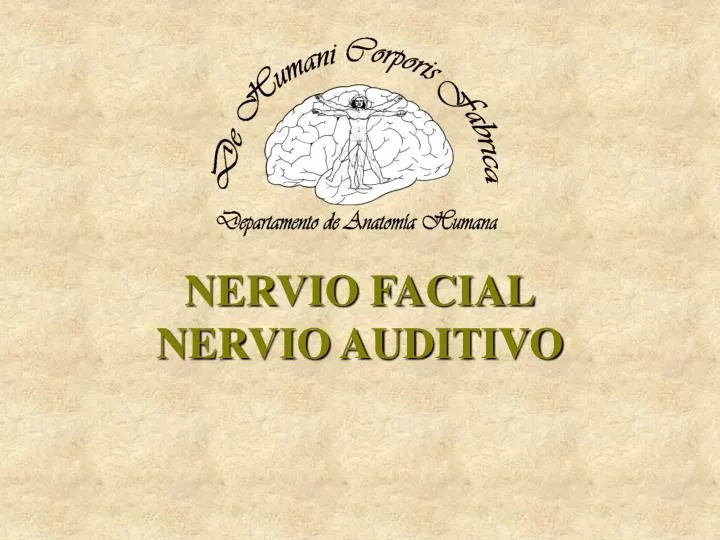 nervio facial nervio auditivo