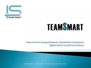 team s mart