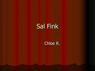 Sal Fink