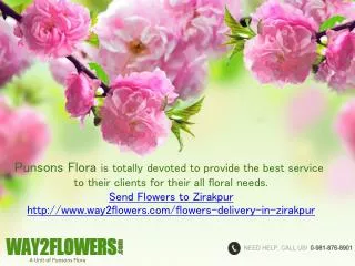 Send Online Flowers Delivery in Zirakpur by Punsons Flora