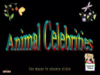 Animal Celebrities