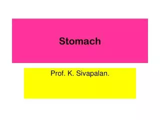 Stomach