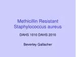 Methicillin Resistant Staphylococcus aureus - slide 1