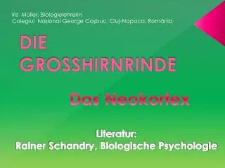die grosshirnrinde