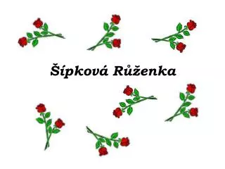 pkov r enka