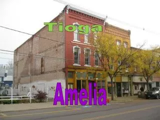 Tioga