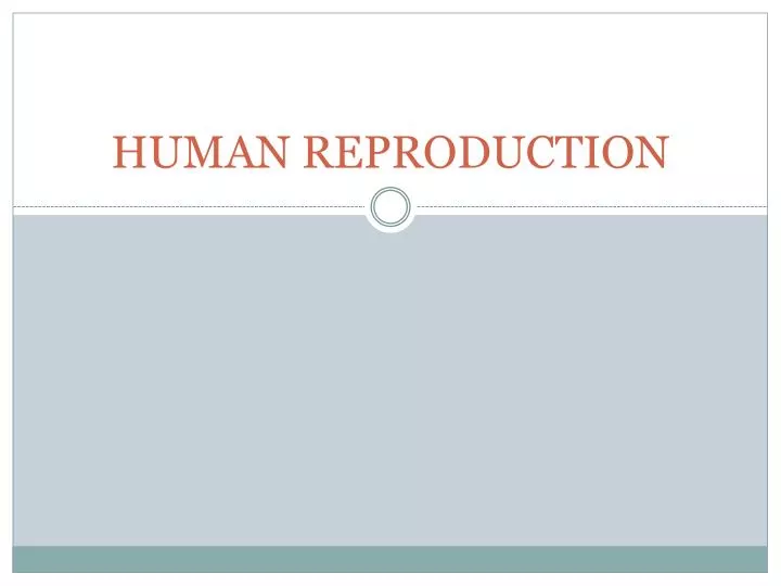 Ppt Human Reproduction Powerpoint Presentation Free Download Id5275908 6353