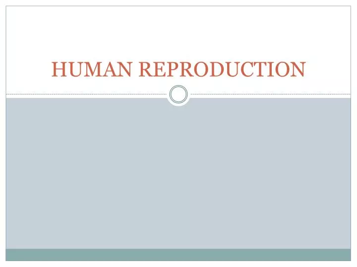 human reproduction