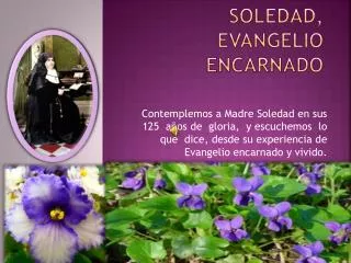 soledad evangelio encarnado