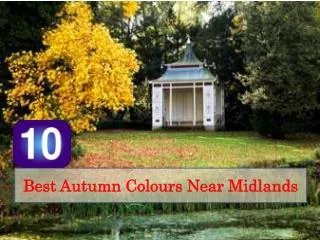10 Best Autumn Colours Near Midlands