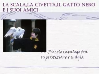 piccolo catalogo tra superstizione e magia