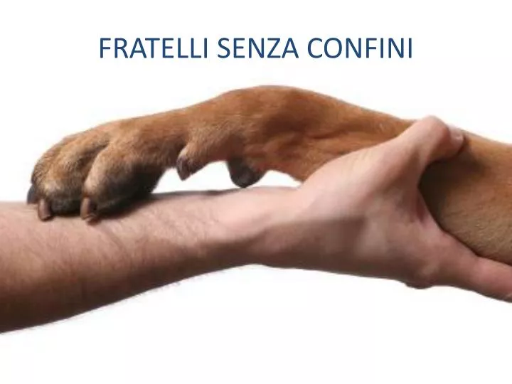 fratelli senza confini