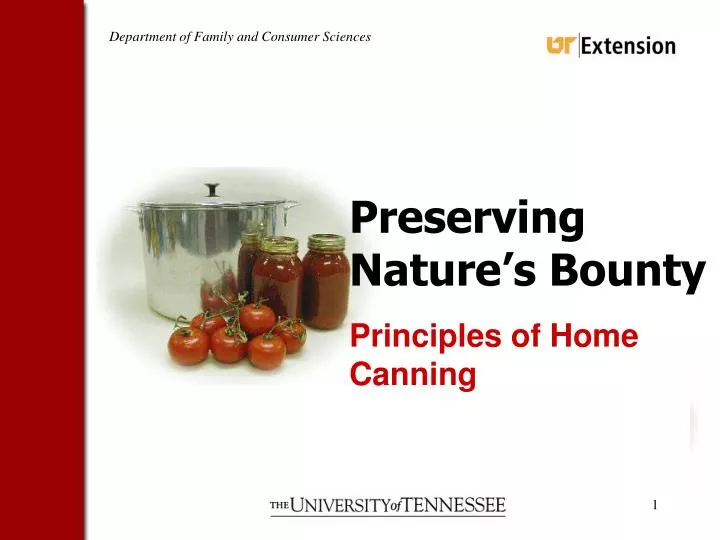 preserving nature s bounty