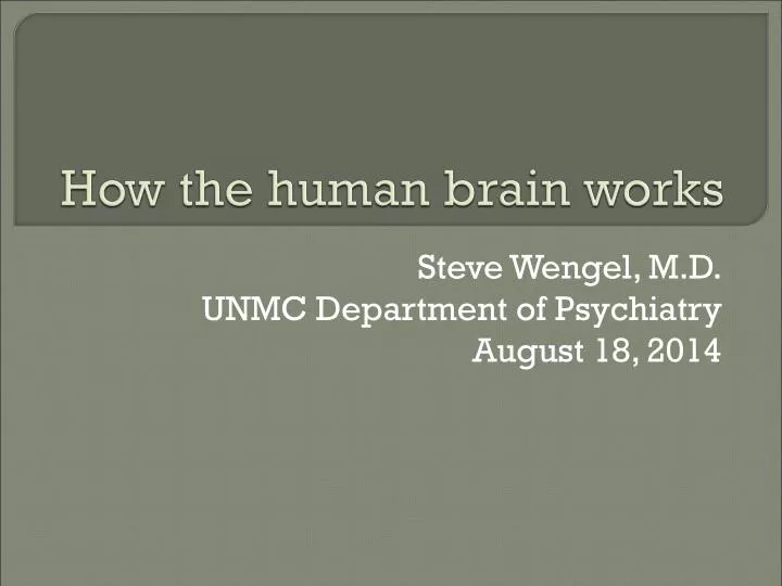 how the human brain works