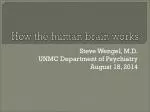 How the human brain works - slide 1