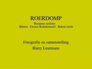 roerdomp
