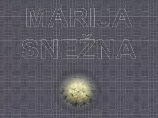 MARIJA SNEŽNA