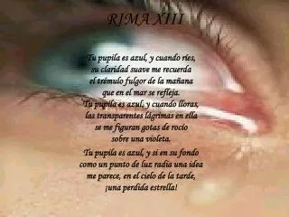 rima xiii