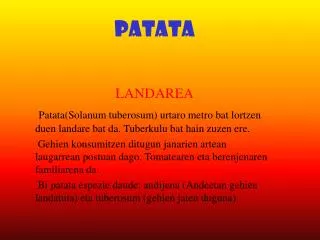 patata