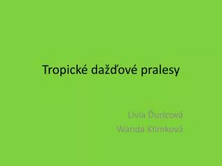 tropick da ov pralesy