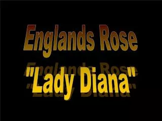 Englands Rose &quot;Lady Diana&quot;