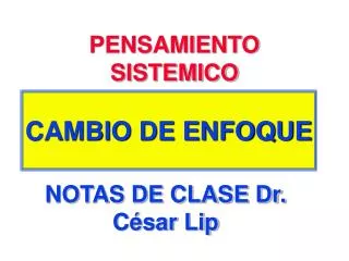 pensamiento sistemico