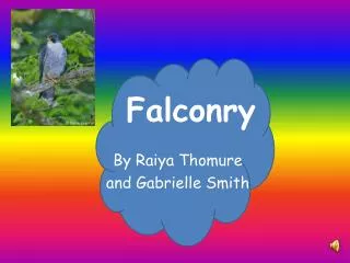 Falconry