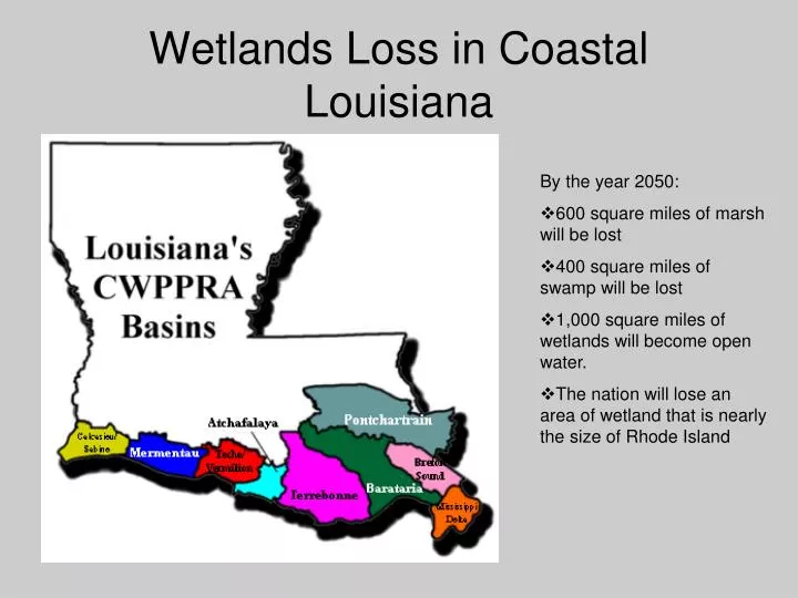 wetlands loss in coastal louisiana