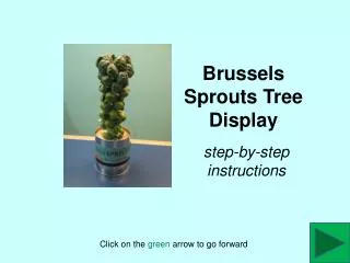 Brussels Sprouts Tree Display