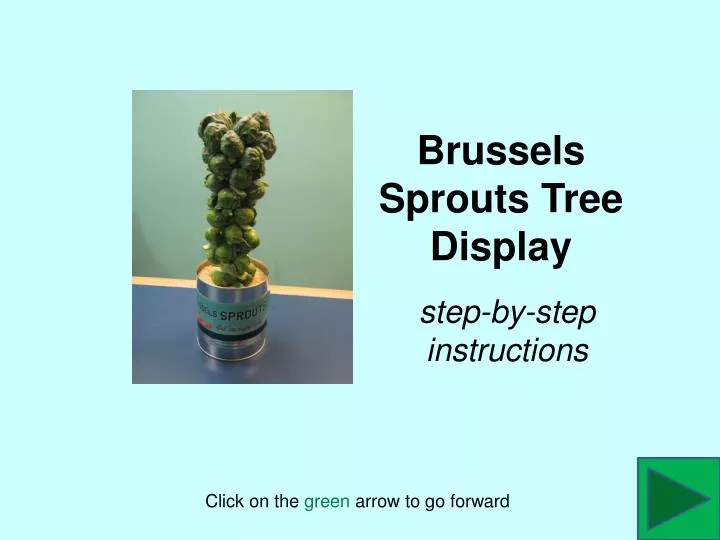 brussels sprouts tree display