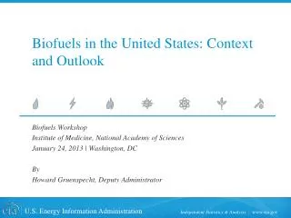 Biofuels in the United States: Context and Outlook