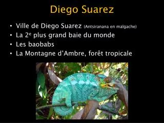 diego suarez