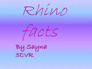 Rhino facts