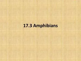 17.3 Amphibians