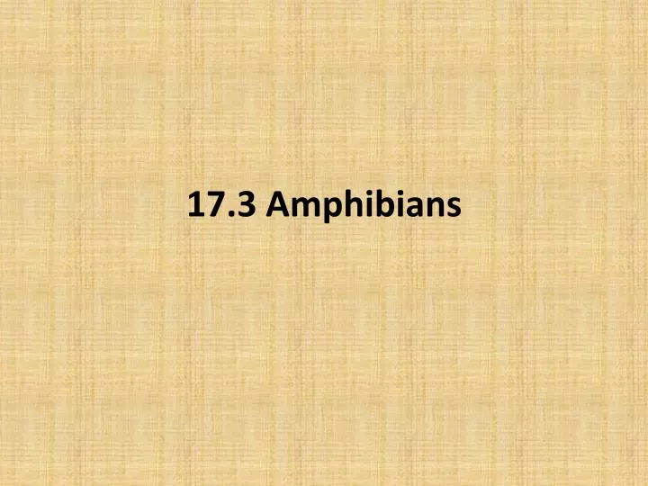 17 3 amphibians