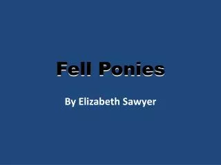 Fell Ponies