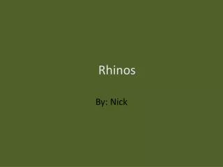 Rhinos