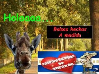 holaaaa