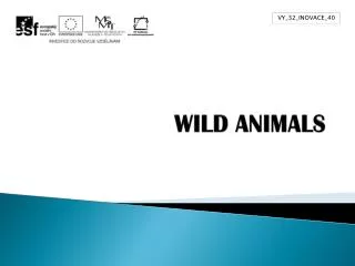 wild animals