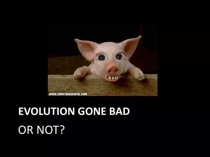 evolution gone bad