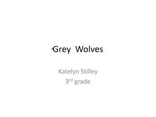 Grey Wolves