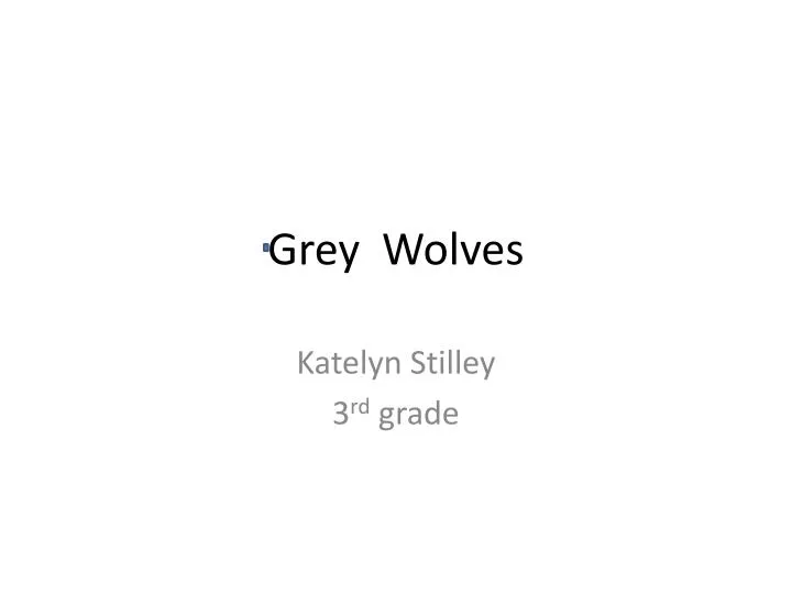 grey wolves