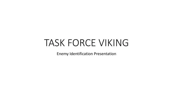 task force viking
