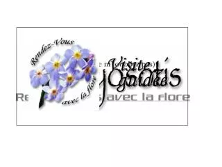 visite
