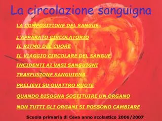 la circolazione sanguigna